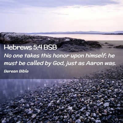 Picture 02 - Hebrews 5:4 BSB - No one takes this honor upon himself; he must be - Bible Verse Picture