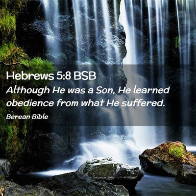 Picture 02 - Hebrews 5:8 BSB - Although He was a Son, He learned obedience from - Bible Verse Picture