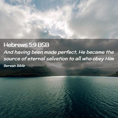 Picture 02 - Hebrews 5:9 BSB - And having been made perfect, He became the - Bible Verse Picture