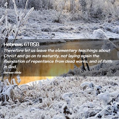 Picture 02 - Hebrews 6:1 BSB - Therefore let us leave the elementary teachings - Bible Verse Picture