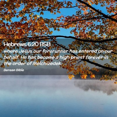 Picture 02 - Hebrews 6:20 BSB - where Jesus our forerunner has entered on our - Bible Verse Picture