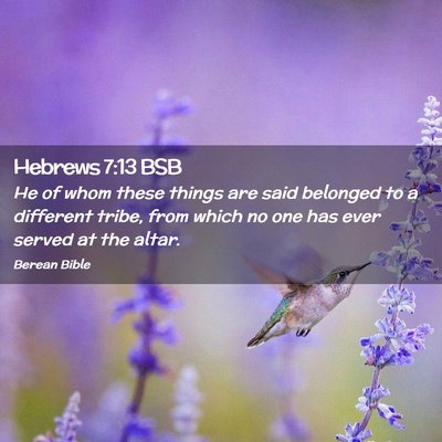Picture 02 - Hebrews 7:13 BSB - He of whom these things are said belonged to a - Bible Verse Picture