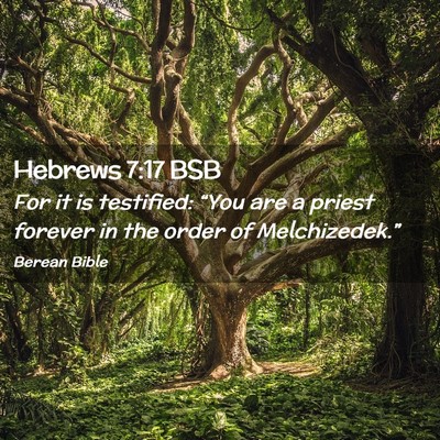 Picture 02 - Hebrews 7:17 BSB - For it is testified: “You are a priest forever - Bible Verse Picture