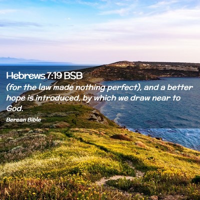 Picture 02 - Hebrews 7:19 BSB - (for the law made nothing perfect), and a better - Bible Verse Picture