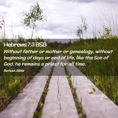 Picture 02 - Hebrews 7:3 BSB - Without father or mother or genealogy, without - Bible Verse Picture