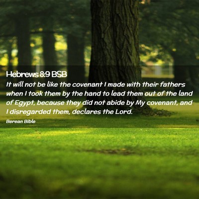 Picture 02 - Hebrews 8:9 BSB - It will not be like the covenant I made with - Bible Verse Picture
