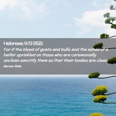 Picture 02 - Hebrews 9:13 BSB - For if the blood of goats and bulls and the ashes - Bible Verse Picture