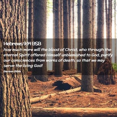 Picture 02 - Hebrews 9:14 BSB - how much more will the blood of Christ, who - Bible Verse Picture