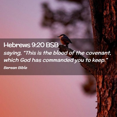 Picture 02 - Hebrews 9:20 BSB - saying, “This is the blood of the covenant, - Bible Verse Picture