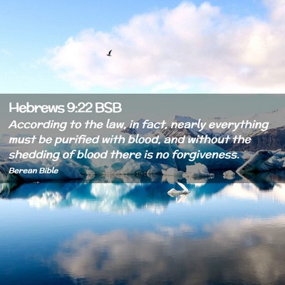 Picture 02 - Hebrews 9:22 BSB - According to the law, in fact, nearly everything - Bible Verse Picture