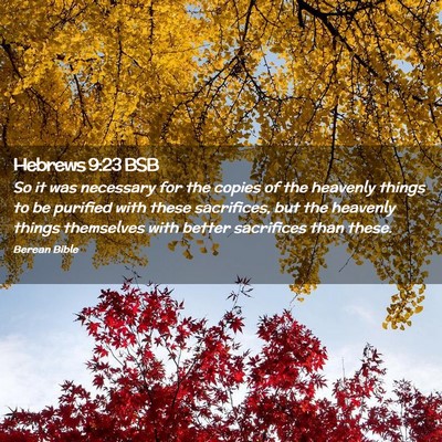 Picture 02 - Hebrews 9:23 BSB - So it was necessary for the copies of the - Bible Verse Picture