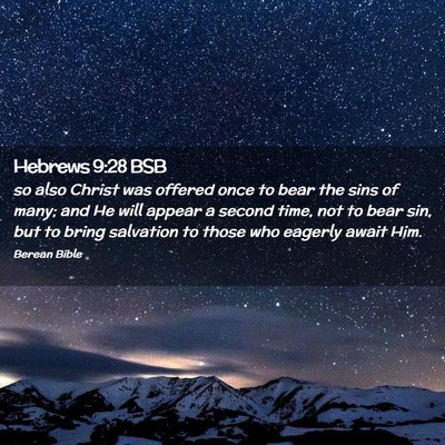 Picture 02 - Hebrews 9:28 BSB - so also Christ was offered once to bear the sins - Bible Verse Picture