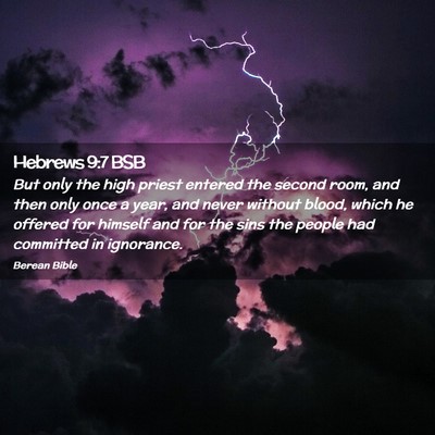 Picture 02 - Hebrews 9:7 BSB - But only the high priest entered the second room, - Bible Verse Picture