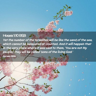 Picture 02 - Hosea 1:10 BSB - Yet the number of the Israelites will be like the - Bible Verse Picture