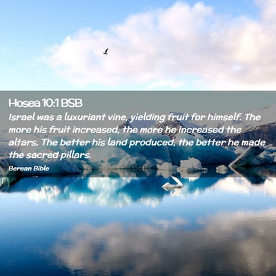 Picture 02 - Hosea 10:1 BSB - Israel was a luxuriant vine, yielding fruit for - Bible Verse Picture