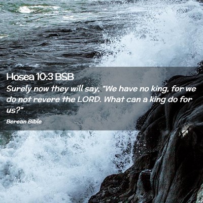 Picture 02 - Hosea 10:3 BSB - Surely now they will say, “We have no king, for - Bible Verse Picture