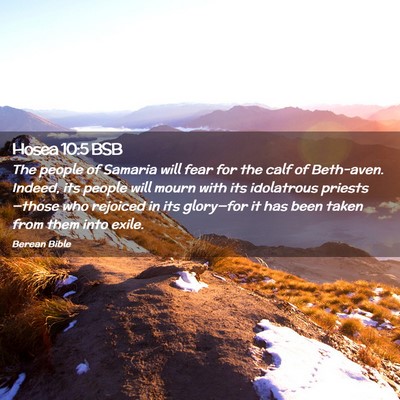 Picture 02 - Hosea 10:5 BSB - The people of Samaria will fear for the calf of - Bible Verse Picture
