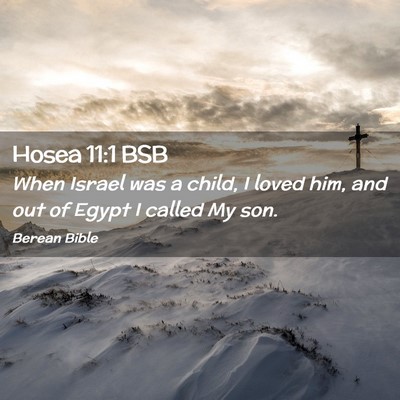Picture 02 - Hosea 11:1 BSB - When Israel was a child, I loved him, and out of - Bible Verse Picture
