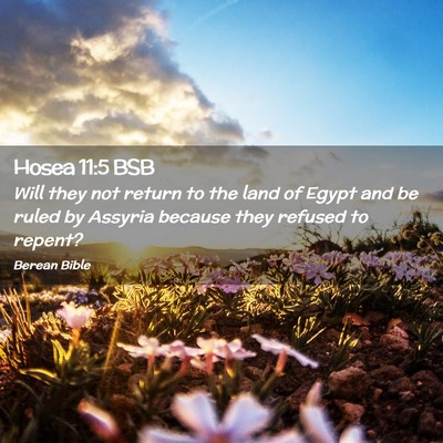 Picture 02 - Hosea 11:5 BSB - Will they not return to the land of Egypt and be - Bible Verse Picture