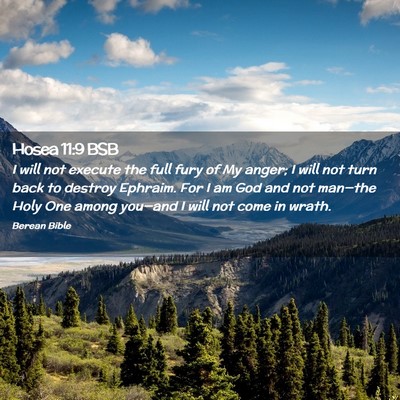 Picture 02 - Hosea 11:9 BSB - I will not execute the full fury of My anger; I - Bible Verse Picture