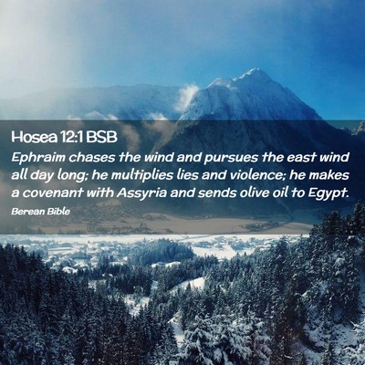 Picture 02 - Hosea 12:1 BSB - Ephraim chases the wind and pursues the east wind - Bible Verse Picture