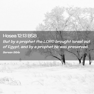 Picture 02 - Hosea 12:13 BSB - But by a prophet the LORD brought Israel out of - Bible Verse Picture