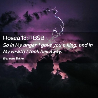 Picture 02 - Hosea 13:11 BSB - So in My anger I gave you a king, and in My wrath - Bible Verse Picture