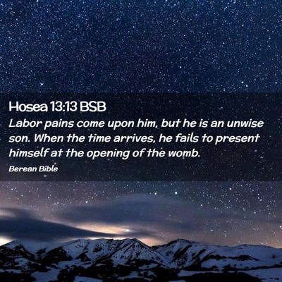 Picture 02 - Hosea 13:13 BSB - Labor pains come upon him, but he is an unwise - Bible Verse Picture