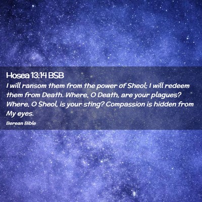 Picture 02 - Hosea 13:14 BSB - I will ransom them from the power of Sheol; I - Bible Verse Picture