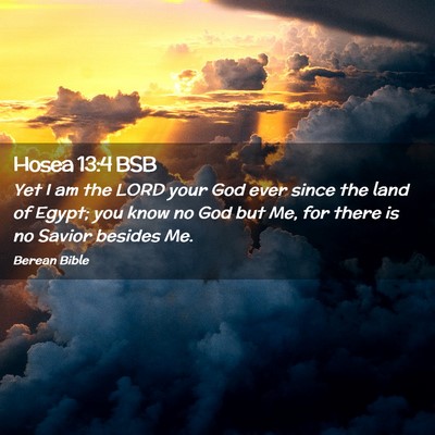 Picture 02 - Hosea 13:4 BSB - Yet I am the LORD your God ever since the land of - Bible Verse Picture