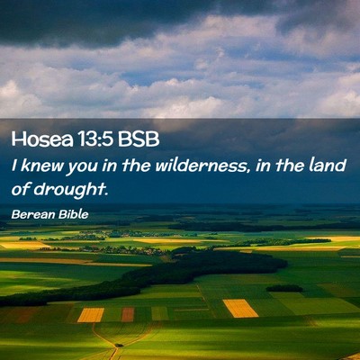 Picture 02 - Hosea 13:5 BSB - I knew you in the wilderness, in the land of - Bible Verse Picture