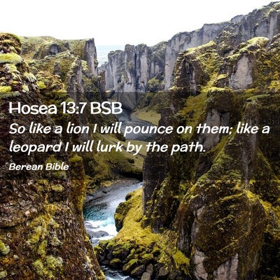 Picture 02 - Hosea 13:7 BSB - So like a lion I will pounce on them; like a - Bible Verse Picture