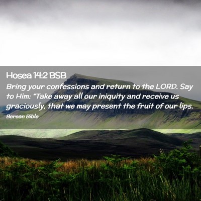Picture 02 - Hosea 14:2 BSB - Bring your confessions and return to the LORD. - Bible Verse Picture