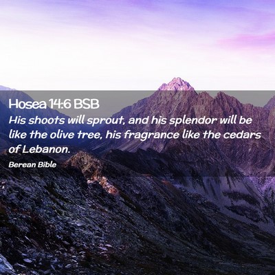 Picture 02 - Hosea 14:6 BSB - His shoots will sprout, and his splendor will be - Bible Verse Picture