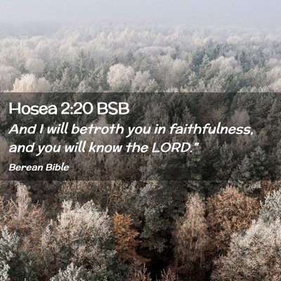 Picture 02 - Hosea 2:20 BSB - And I will betroth you in faithfulness, and you - Bible Verse Picture
