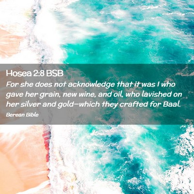 Picture 02 - Hosea 2:8 BSB - For she does not acknowledge that it was I who - Bible Verse Picture