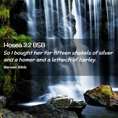 Picture 02 - Hosea 3:2 BSB - So I bought her for fifteen shekels of silver and - Bible Verse Picture