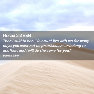 Picture 02 - Hosea 3:3 BSB - Then I said to her, “You must live with me for - Bible Verse Picture