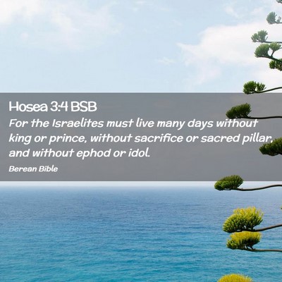 Picture 02 - Hosea 3:4 BSB - For the Israelites must live many days without - Bible Verse Picture