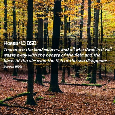 Picture 02 - Hosea 4:3 BSB - Therefore the land mourns, and all who dwell in - Bible Verse Picture