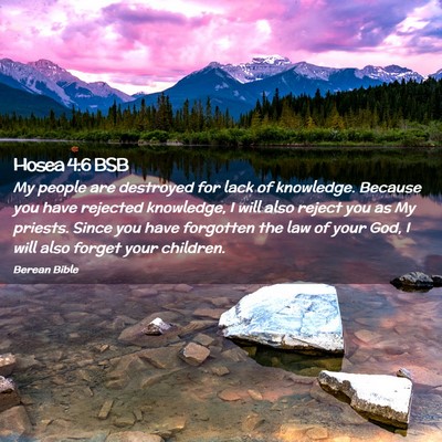 Picture 02 - Hosea 4:6 BSB - My people are destroyed for lack of knowledge. - Bible Verse Picture