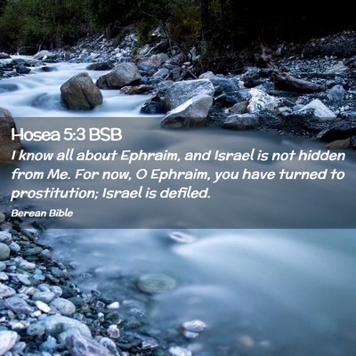 Picture 02 - Hosea 5:3 BSB - I know all about Ephraim, and Israel is not - Bible Verse Picture