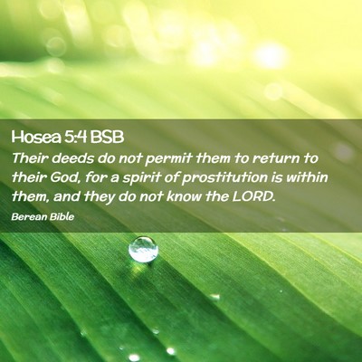 Picture 02 - Hosea 5:4 BSB - Their deeds do not permit them to return to their - Bible Verse Picture