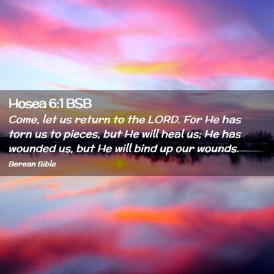 Picture 02 - Hosea 6:1 BSB - Come, let us return to the LORD. For He has torn - Bible Verse Picture