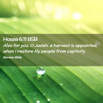Picture 02 - Hosea 6:11 BSB - Also for you, O Judah, a harvest is appointed, - Bible Verse Picture