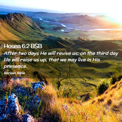 Picture 02 - Hosea 6:2 BSB - After two days He will revive us; on the third - Bible Verse Picture
