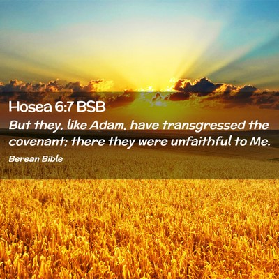 Picture 02 - Hosea 6:7 BSB - But they, like Adam, have transgressed the - Bible Verse Picture
