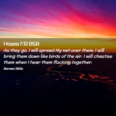 Picture 02 - Hosea 7:12 BSB - As they go, I will spread My net over them; I - Bible Verse Picture