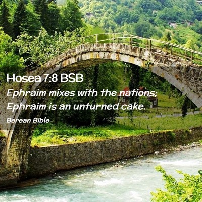Picture 02 - Hosea 7:8 BSB - Ephraim mixes with the nations; Ephraim is an - Bible Verse Picture