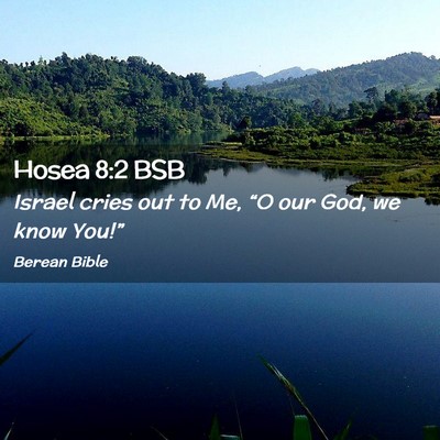 Picture 02 - Hosea 8:2 BSB - Israel cries out to Me, “O our God, we know - Bible Verse Picture